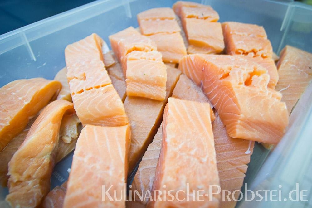 ostseelachs-in-sauer-1-07