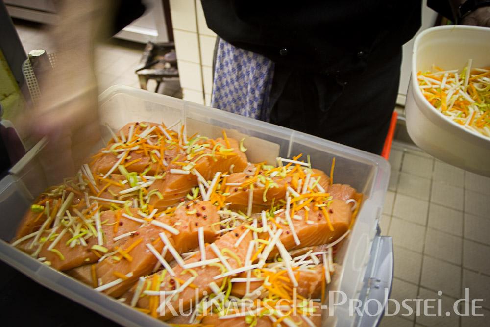 ostseelachs-in-sauer-1-21