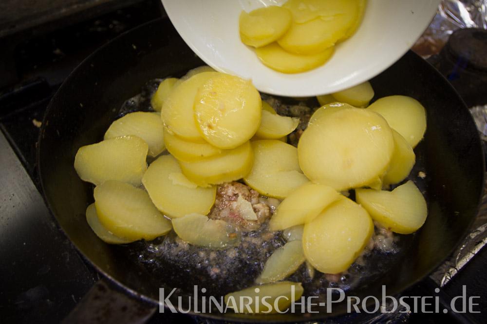 ostseelachs-in-sauer-1-37